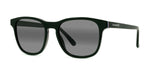 05D - Acetate Shiny Black with Grey polarlynx lenses / 