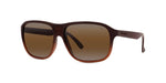 50G - Injected Shiny Brown with Brownlynx lenses / 