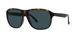 52D - Injected Shiny Havana with Grey polar lenses / 