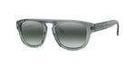 20D - Acetate Shiny Grey with Grey polarlynx lenses / 