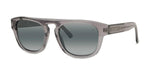 20D - Acetate Shiny Grey with Grey polarlynx lenses / 