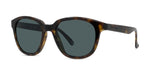 52D - Injected Shiny Havana with Grey polar lenses / 