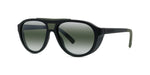 02C - Injected Shiny Black with Grey lynx lenses / 