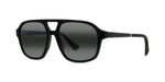 01C - Acetate Shiny Black with Grey lynx lenses / 