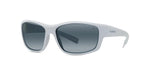 20D - Injected Matte Grey with Grey polar lenses / 