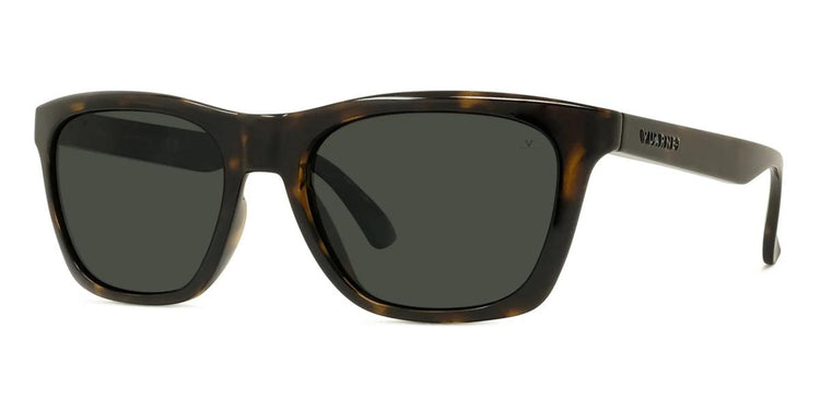 52D - Injected Shiny Havana with Grey polar lenses