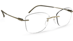 8540 - Restful Olive / 