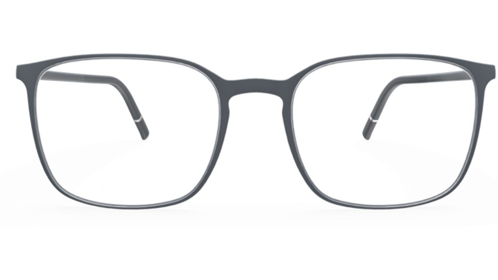 6510 - Grey Loden