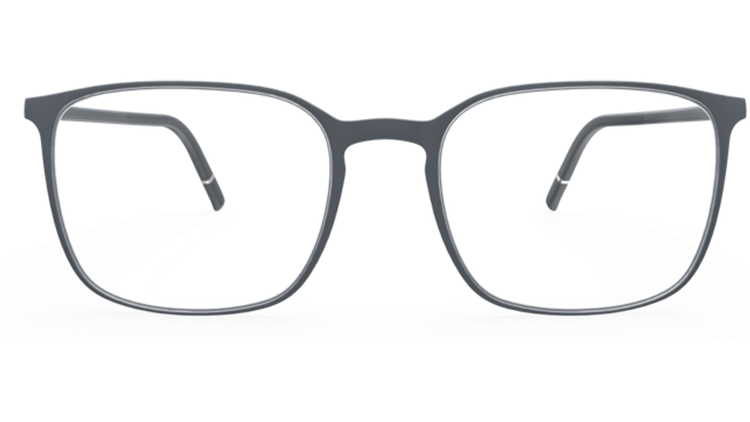 6510 - Grey Loden
