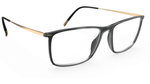 6530 - Golden Grey / 
