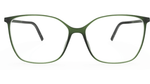 5560 - Forest Green / 