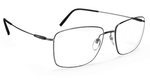 6560 - Plain Ruthenium