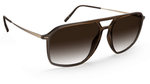 6030 - Brown / Gold / 60