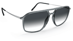 6500 - Grey / Rhodium / 65