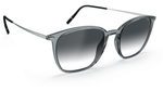6500 - Grey / Rhodium / 65