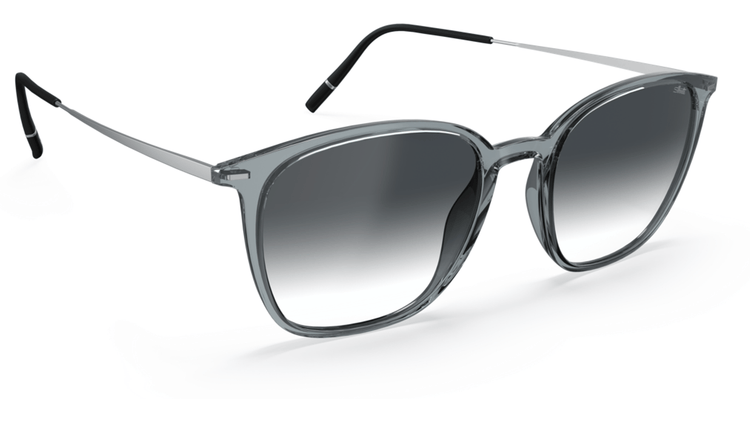 6500 - Grey / Rhodium / 65