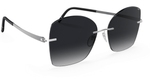 7000 - Rhodium / Black / 65