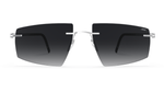 7000 - Rhodium / Black / 65