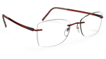 3040 - Warm Burgundy / 