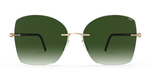 7620 - Gold / Black / 55