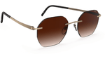 7520 - Gold / Darkbrown / 60