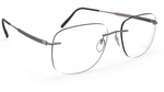 6560 - Plain Ruthenium / 