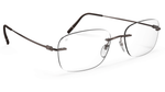 6040 - Cool Brown / 