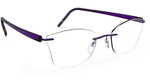 4040 - Illuming Purple / 