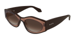 BROWN / BROWN