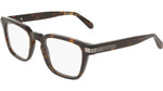 242 - DARK TORTOISE / 