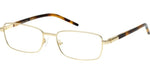 032 - Shiny Pale Gold / 