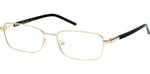 033 - Shiny Pale Gold / 