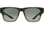 Rebel Salute / Safari Polarized (AR)