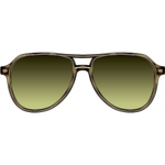 Crystal / Heroine Chic / Gold / Green Bird (AR)