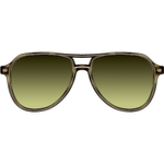 Crystal / Heroine Chic / Gold / Green Bird (AR)