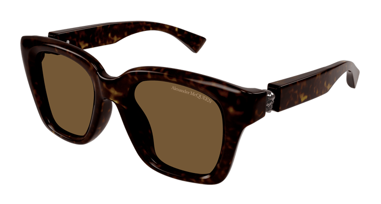 HAVANA / BROWN