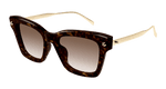 HAVANA / GOLD / BROWN