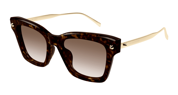 HAVANA / GOLD / BROWN