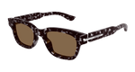 HAVANA / BROWN