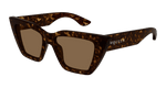HAVANA / BROWN