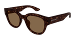 HAVANA / BROWN