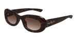 HAVANA / BROWN