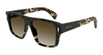 HAVANA / BROWN