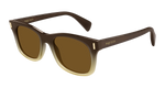 BROWN / BROWN