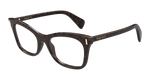HAVANA / TRANSPARENT