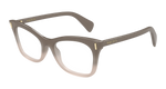 BROWN / TRANSPARENT