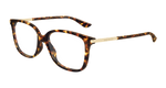 HAVANA / TRANSPARENT