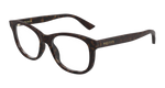 HAVANA / TRANSPARENT