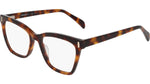 242 - SOFT TORTOISE / 