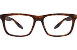 Chestnut / Demo